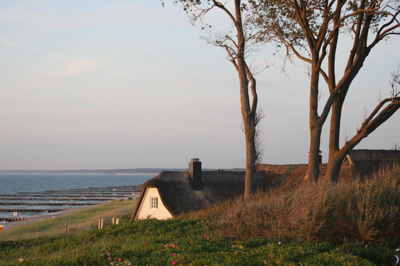 Dat Dardel Hus Born Exterior foto